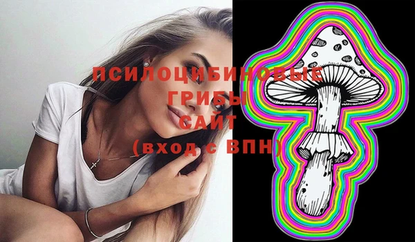 винт Балахна